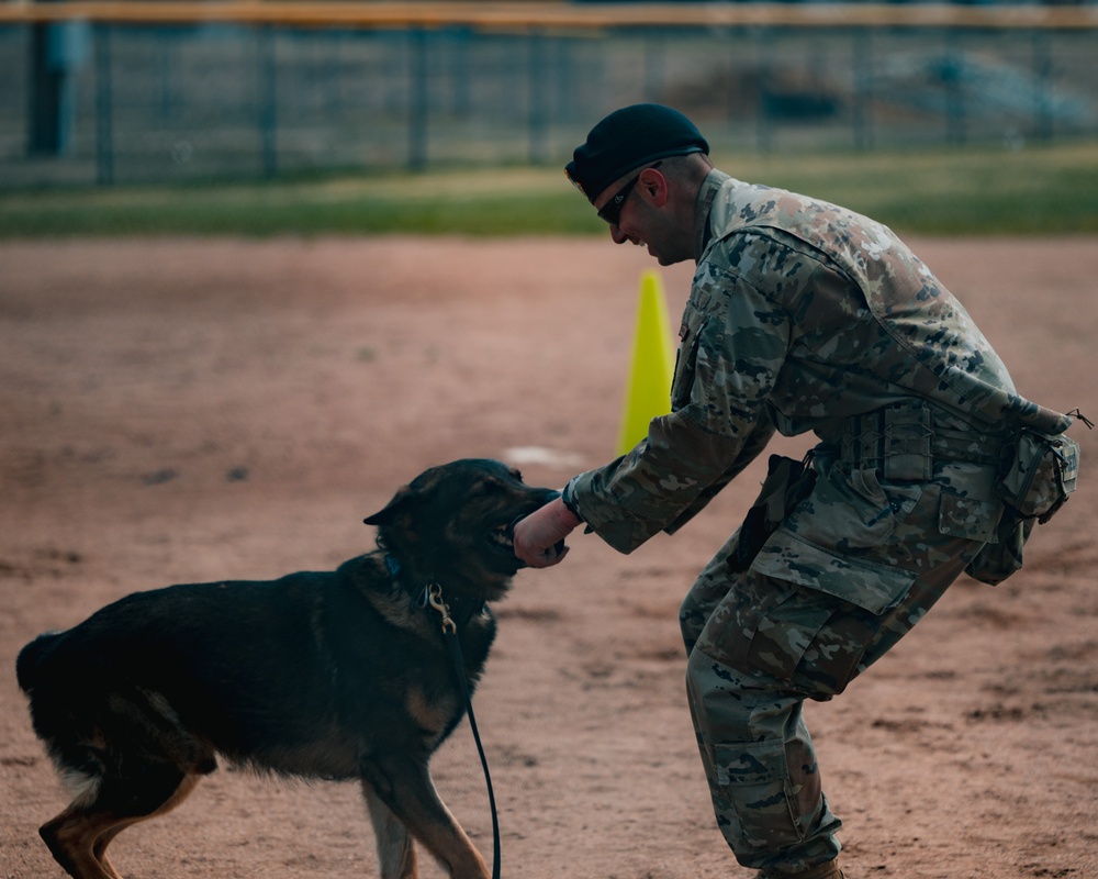 Military working dog obedience competition
