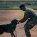 Military working dog obedience competition