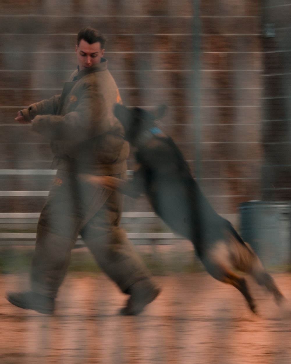Military working dog obedience competition