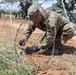 151st CBRN Battalion emplaces concertina wire during Immediate Response 25