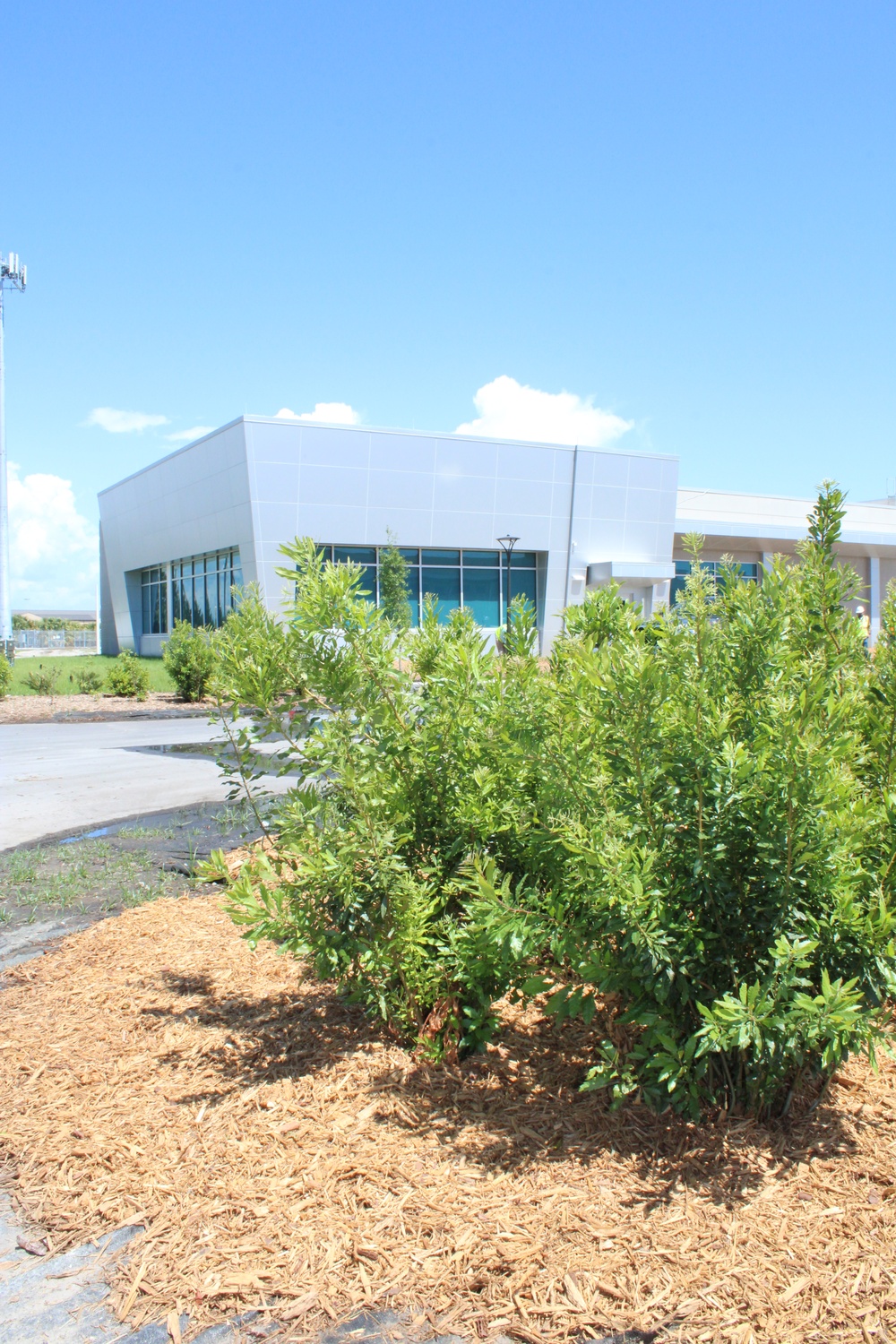 Planting Green Curb Appeal at Tyndall AFB