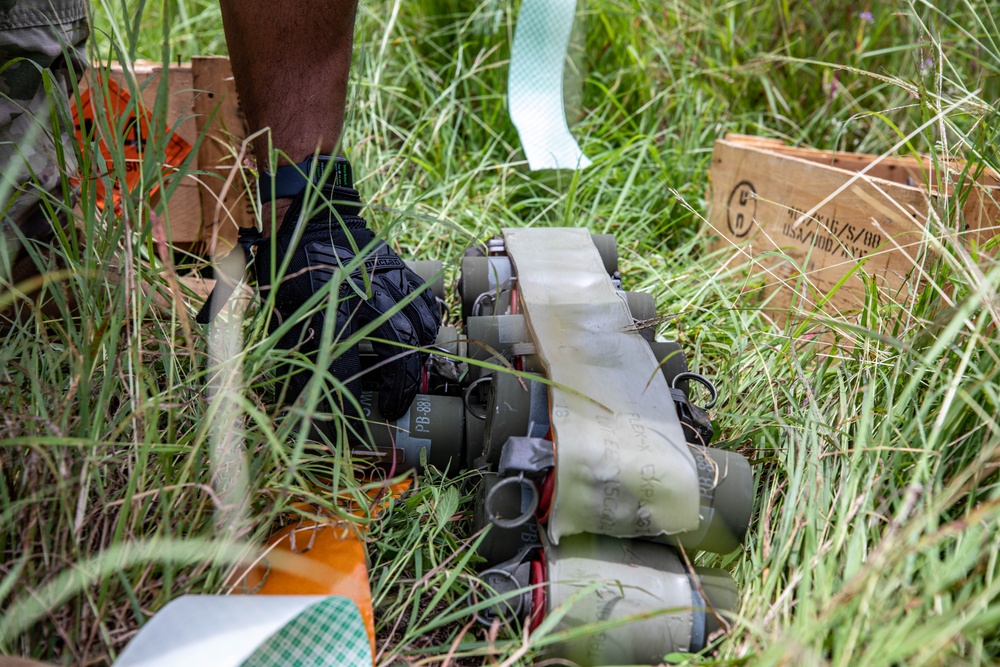EOD Team Executes Controlled Demolition at Camp Santiago