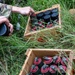 EOD Team Executes Controlled Demolition at Camp Santiago