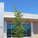 Planting Green Curb Appeal at Tyndall AFB