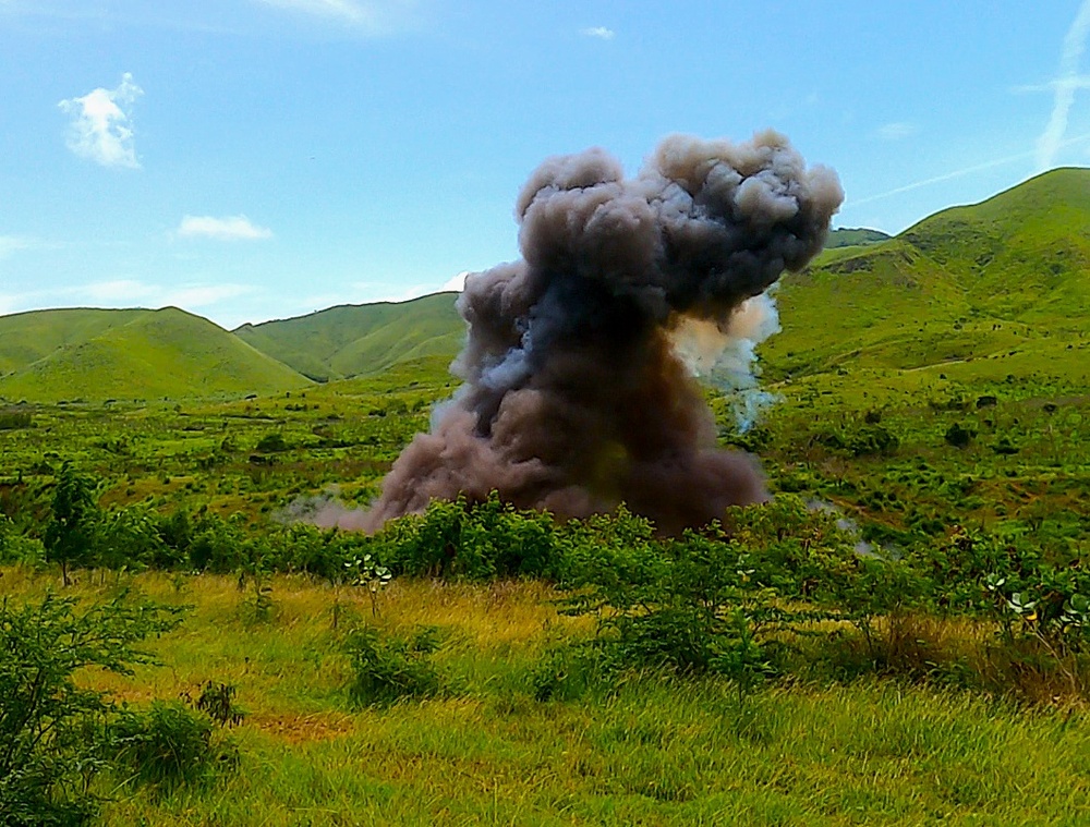 EOD Team Executes Controlled Demolition at Camp Santiago