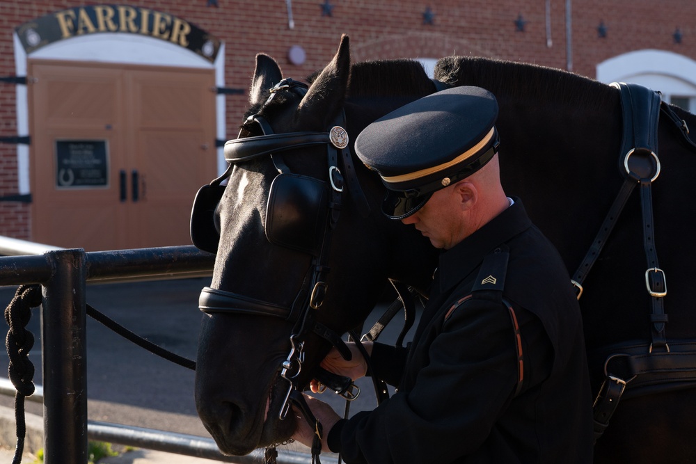 Caisson Detachment returns to Arlington National Cemetery, June 2, 2025