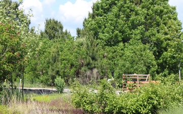 Planting Green Curb Appeal at Tyndall AFB