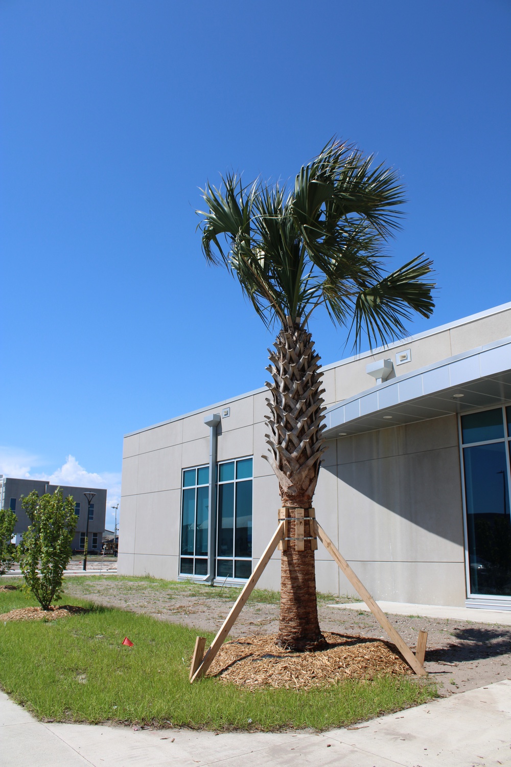 Planting Green Curb Appeal at Tyndall AFB