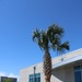 Planting Green Curb Appeal at Tyndall AFB