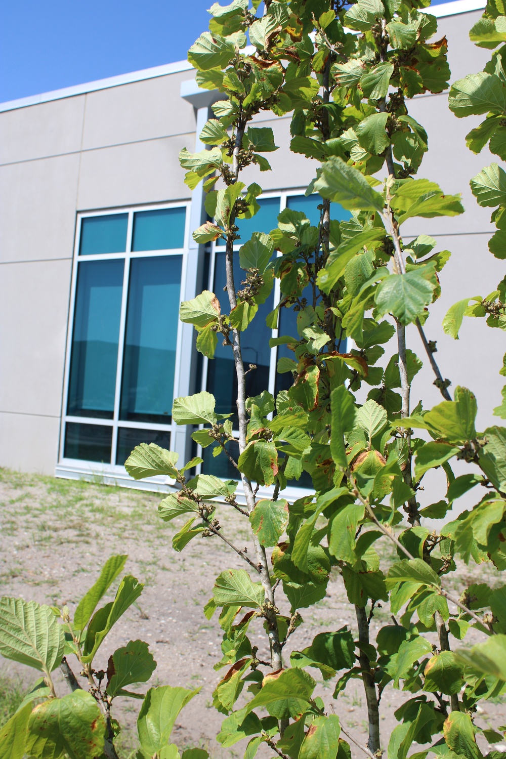 Planting Green Curb Appeal at Tyndall AFB