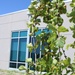 Planting Green Curb Appeal at Tyndall AFB