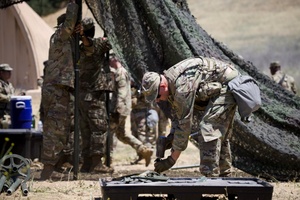 The Marne Report