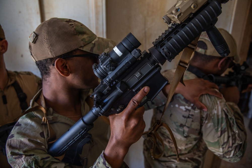 Coalition Members Conduct Joint Weapons Training Exercise at Al Asad Air Base