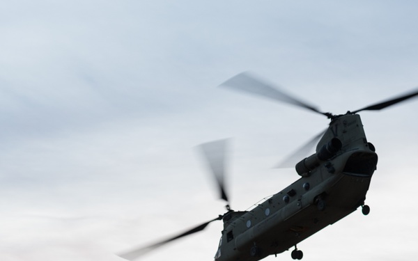 Coalition Forces In The Air