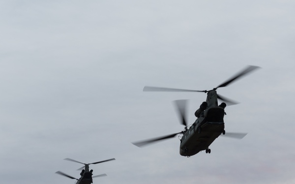 Coalition Forces In The Air