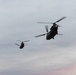 Coalition Forces In The Air