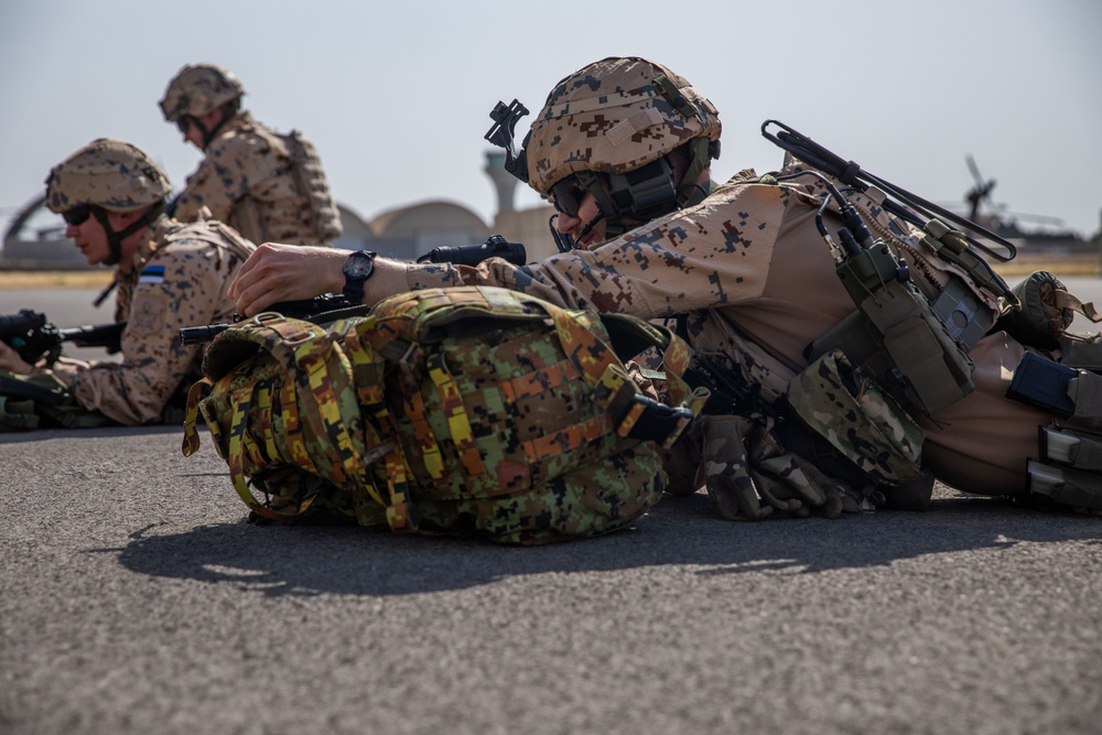 Estonian Defence Forces Conduct Cold, Hot Load Training