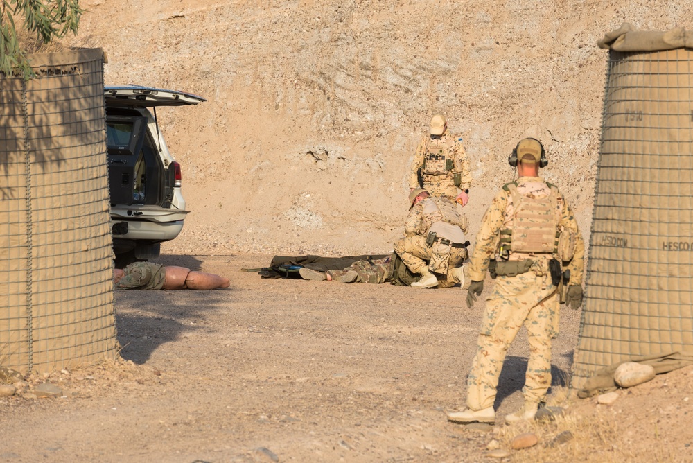 Estonian Defence Forces Conduct Medical Exercises
