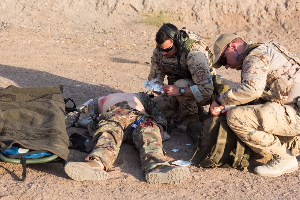 Estonian Defence Forces Conduct Medical Exercises