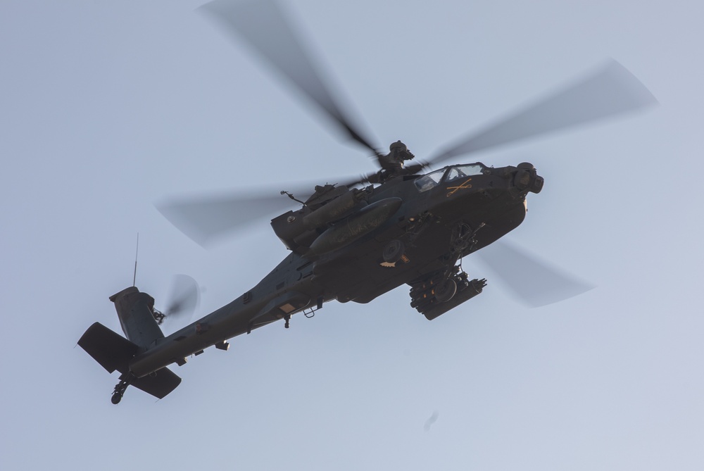 Estonian Defence Forces Conduct Close Air Support Live Fire Exercise