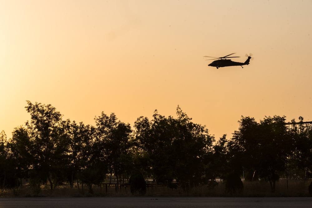 Estonian Defence Forces Conduct Medical Exercises