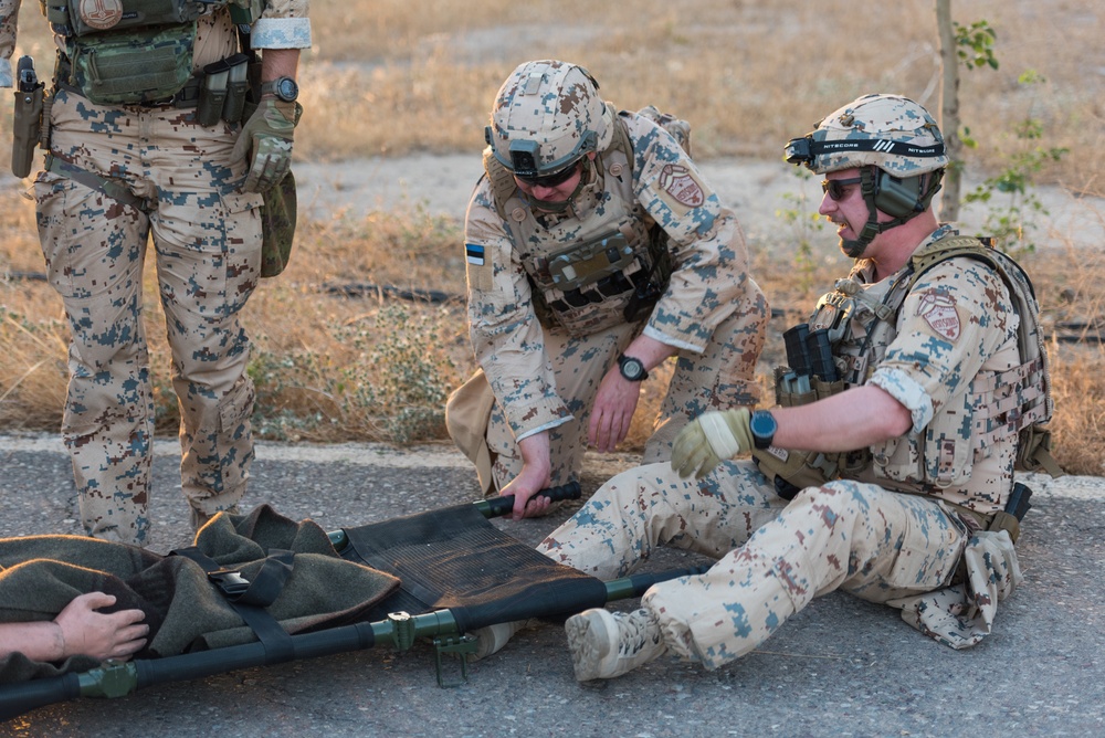 Estonian Defence Forces Conduct Medical Exercises