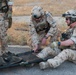 Estonian Defence Forces Conduct Medical Exercises