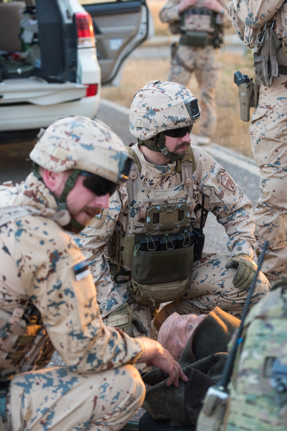 Estonian Defence Forces Conduct Medical Exercises