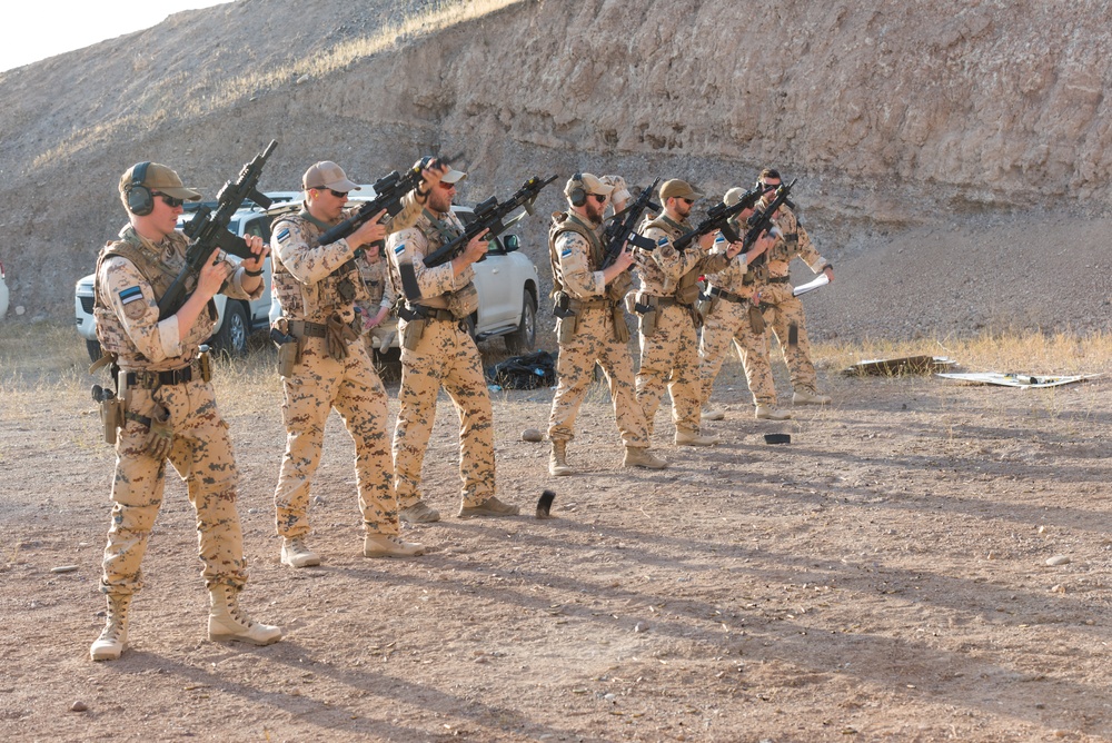 Estonian Defence Forces Conduct Range Operations