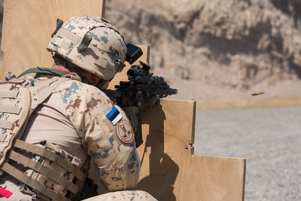 Estonian Defence Forces Conduct Range Operations