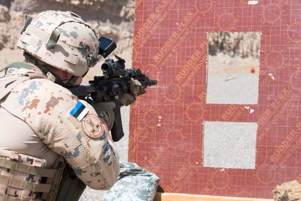Estonian Defence Forces Conduct Range Operations