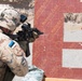 Estonian Defence Forces Conduct Range Operations
