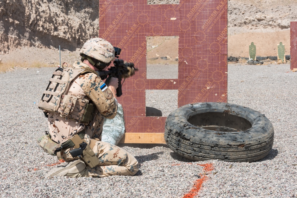 Estonian Defence Forces Conduct Range Operations
