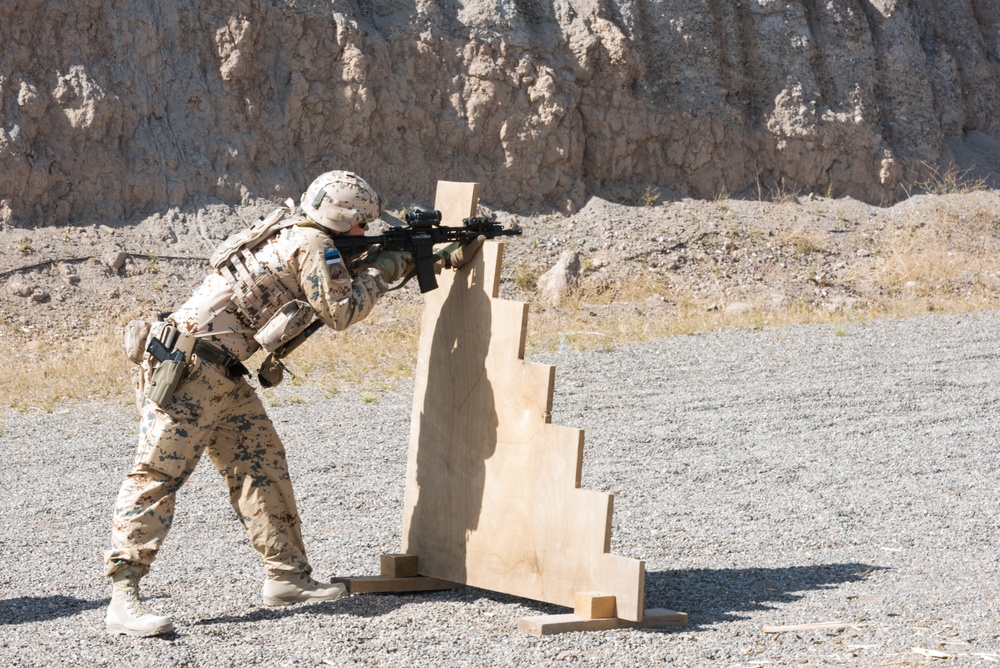 Estonian Defence Forces Conduct Range Operations
