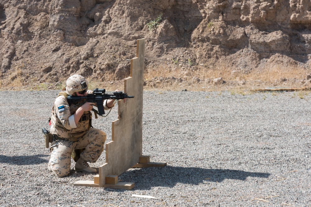Estonian Defence Forces Conduct Range Operations