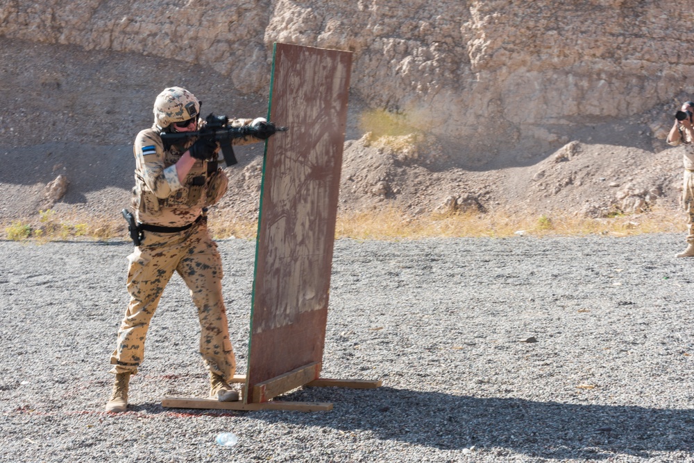 Estonian Defence Forces Conduct Range Operations