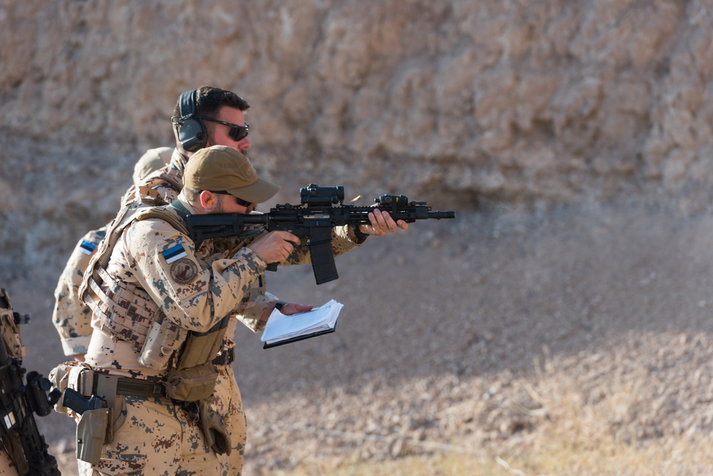 Estonian Defence Forces Conduct Range Operations
