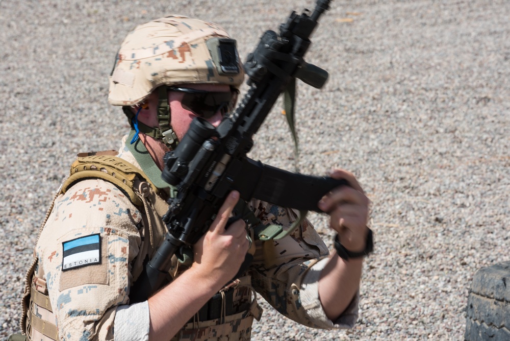 Estonian Defence Forces Conduct Range Operations