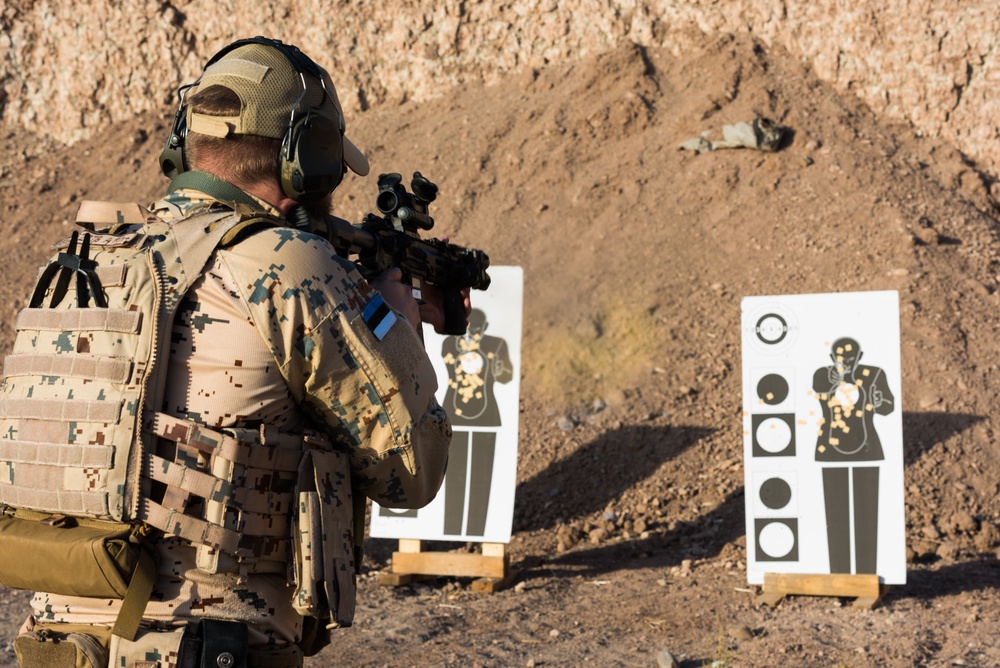 Estonian Defence Forces Conduct Range Operations
