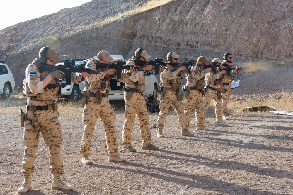 Estonian Defence Forces Conduct Range Operations