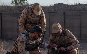 Estonian Defence Forces Conduct Medical Exercises