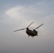 Coalition Forces In The Air
