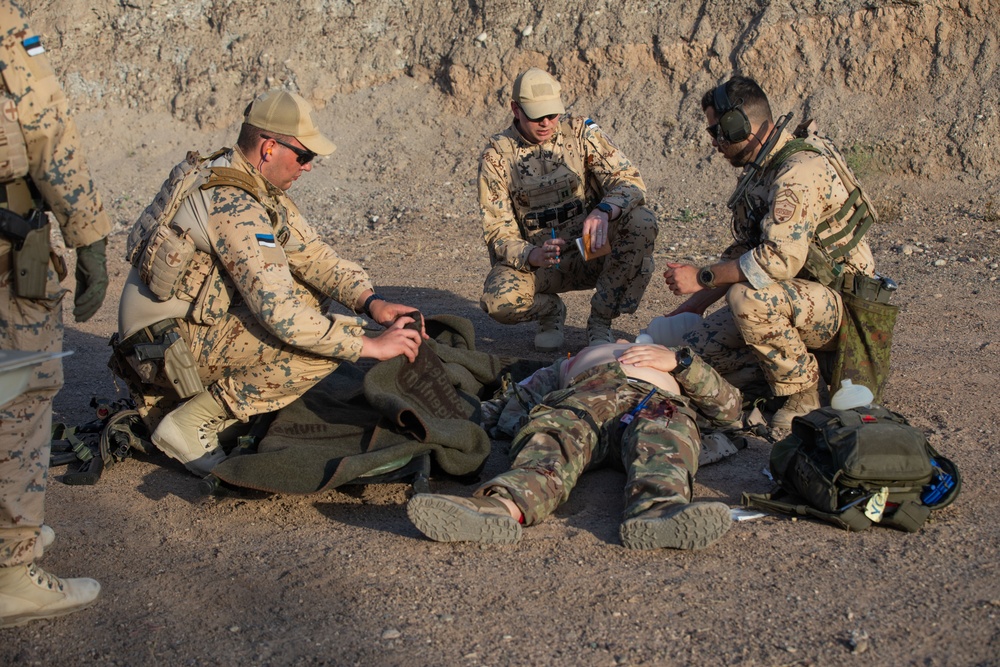 Estonian Defence Forces Conduct Medical Exercises