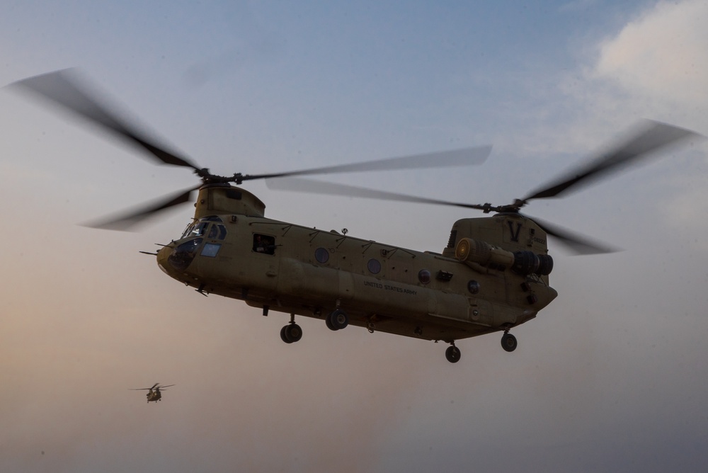 Coalition Forces In The Air