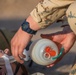 Estonian Defence Forces Conduct Medical Exercises