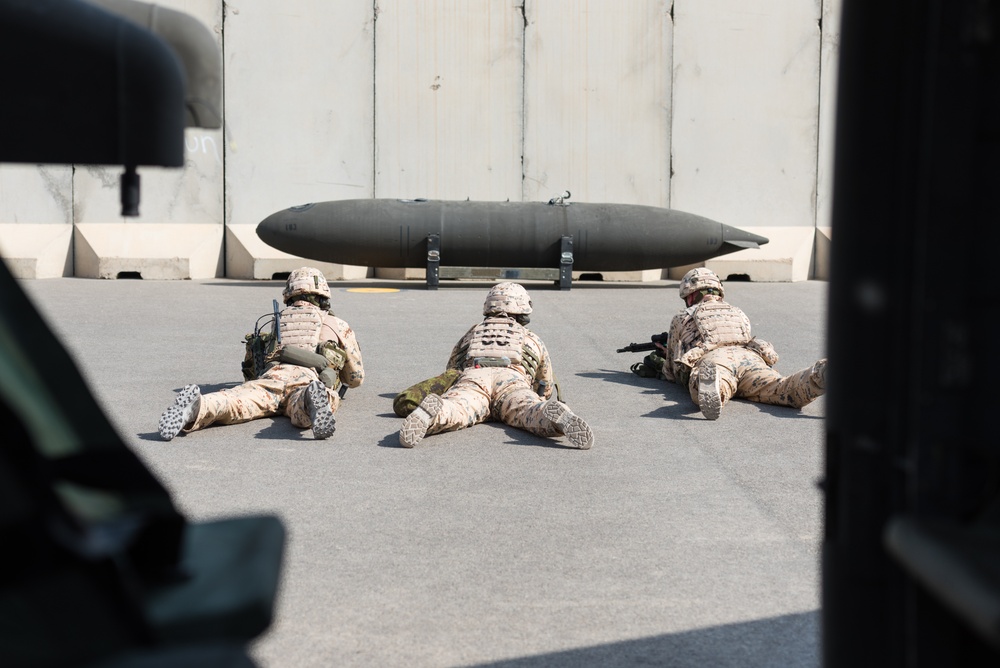 Estonian Defence Forces Conduct Cold, Hot Load Training