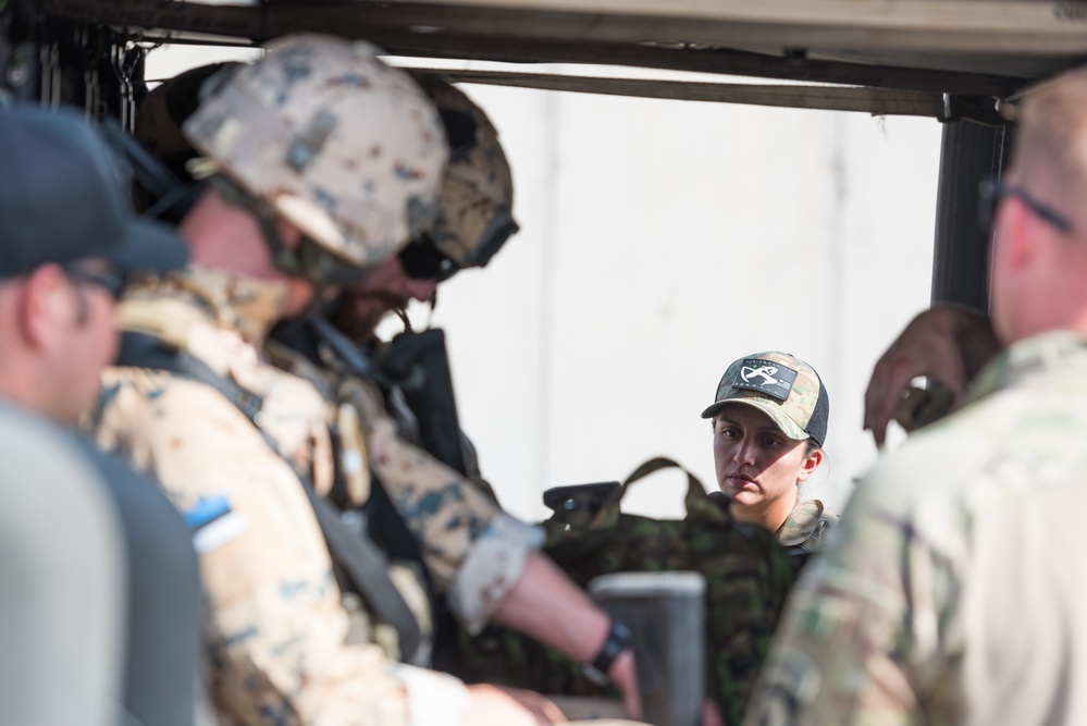 Estonian Defence Forces Conduct Cold, Hot Load Training