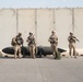 Estonian Defence Forces Conduct Cold, Hot Load Training