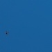 Operation Mojave Falcon - React to UAS Encounter