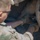 U.S. Soldiers conduct maintenance at the Unit Maintenance Collection Point during Balkan Sentinel